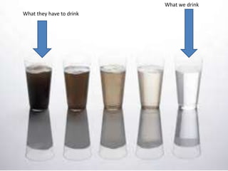 What they have to drink
What we drink
 