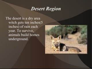 Father Serra Father Serra decided to become a Francis priest in the Catholic  church. He chose Junipero as his religious name. 