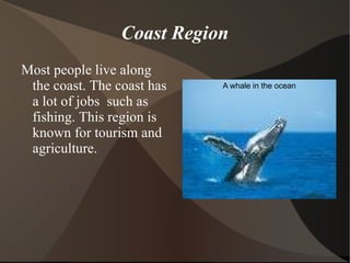Desert Region The desert is a dry area witch gets ten inches(5 inches) of rain each year. To survive, animals build homes underground. A desert fox laying down 