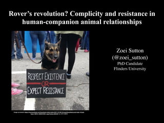 Rover’s revolution? Complicity and resistance in
human-companion animal relationships
Zoei Sutton
(@zoei_sutton)
PhD Candidate
Flinders University
Image accessed: https://img.buzzfeed.com/buzzfeed-static/static/2017-01/26/12/asset/buzzfeed-prod-web-14/sub-
buzz-19072-1485451646-1.jpg?resize=625:637 on 15/11/2018
 