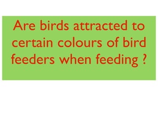 Are birds attracted to
certain colours of bird
feeders when feeding ?
 