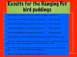 Results for the Hanging Pot
        bird puddings
*On the brown pudding 1 Wax eye came at 12:35pm on 29/8/12.

*On the yellow pudding at 2:00pm on the 3/9/12     1 Wax eye came.

*On the Green pudding at 10:30am on the 4/9/12     1 Wax eye came.

*On the blue pudding at 10:30am on the 4/9/12      1 Wax eye came.

*On the red pudding at 10:30am on the 4/9/12       1 Wax eye came.

*After 1 day there were some pecked bits out of the green and brown pot

*After the weekend we checked them again and about 1/4 of the pudding was
gone from 3 of the puddings and the others had been pecked

*We checked for 3 more days and each time we saw wax eyes on one of the
pots         SO THE POTS ARE WORKING

*The birds have been feeding from the big feeders too
 