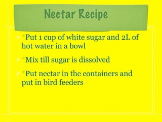 Nectar Recipe
*Put 1 cup of white sugar and 2L of
hot water in a bowl
*Mix till sugar is dissolved
*Put nectar in the containers and
put in bird feeders
 