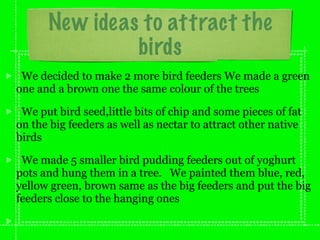 New ideas to attract the
               birds
*We decided to make 2 more bird feeders We made a green
one and a brown one the same colour of the trees

*We put bird seed,little bits of chip and some pieces of fat
on the big feeders as well as nectar to attract other native
birds

*We made 5 smaller bird pudding feeders out of yoghurt
pots and hung them in a tree. We painted them blue, red,
yellow green, brown same as the big feeders and put the big
feeders close to the hanging ones
 
