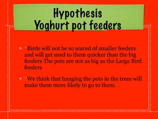 Hypothesis
   Yoghurt pot feeders
*Birds will not be so scared of smaller feeders
and will get used to them quicker than the big
feeders The pots are not as big as the Large Bird
feeders

*We think that hanging the pots in the trees will
make them more likely to go to them.
 