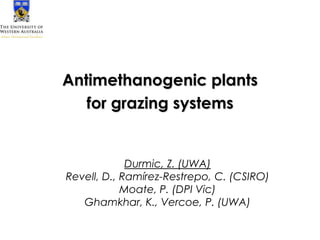 Antimethanogenic plants
   for grazing systems


             Durmic, Z. (UWA)
Revell, D., Ramírez-Restrepo, C. (CSIRO)
            Moate, P. (DPI Vic)
   Ghamkhar, K., Vercoe, P. (UWA)
 