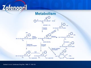 Metabolism



                                                                            o   n
                                                                        ati
                                                                     xid
                                                                 lf o
                                                               Su




Subissi A. et al.; Cardiovasc Drug Rev. 1999; 17: 155-133
 