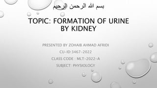 ‫بسم‬
‫هللا‬
‫الرحمن‬
‫الرحيم‬
TOPIC: FORMATION OF URINE
BY KIDNEY
PRESENTED BY ZOHAIB AHMAD AFRIDI
CU-ID:3467-2022
CLASS CODE : MLT-2022-A
SUBJECT: PHYSIOLOGY
 