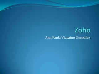 Zoho Ana Paula Vizcaino González 
