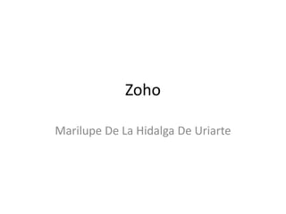 Zoho
Marilupe De La Hidalga De Uriarte
 