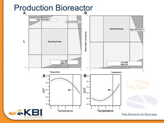 Production Bioreactor
 