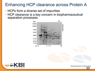 30
Enhancing HCP clearance across Protein A
• HCPs form a diverse set of impurities
• HCP clearance is a key concern in biopharmaceutical
separation processes
 
