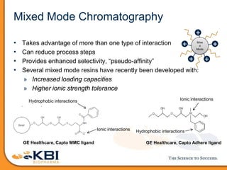 Mixed Mode Chromatography
• Takes advantage of more than one type of interaction
• Can reduce process steps
• Provides enhanced selectivity, “pseudo-affinity”
• Several mixed mode resins have recently been developed with:
» Increased loading capacities
» Higher ionic strength tolerance
+
+ +
+
+Mixe
d
Mode
GE Healthcare, Capto MMC ligand
Ionic interactions
Hydrophobic interactions
Hydrophobic interactions
Ionic interactions
GE Healthcare, Capto Adhere ligand
 