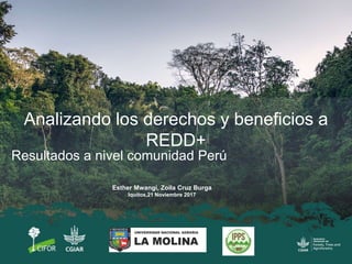 Resultados a nivel comunidad Perú
Esther Mwangi, Zoila Cruz Burga
Iquitos,21 Noviembre 2017
Analizando los derechos y beneficios a
REDD+
 