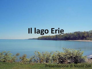 Il lago Erie



     Presentazione di Nicolò Zoli
 