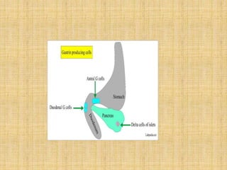 Zollinger ellison seminar