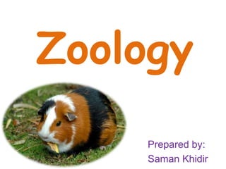 Zoology
Prepared by:
Saman Khidir
 