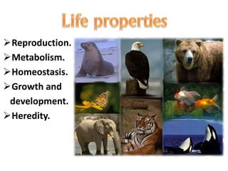 a simple presentation about Zoology | PPTX