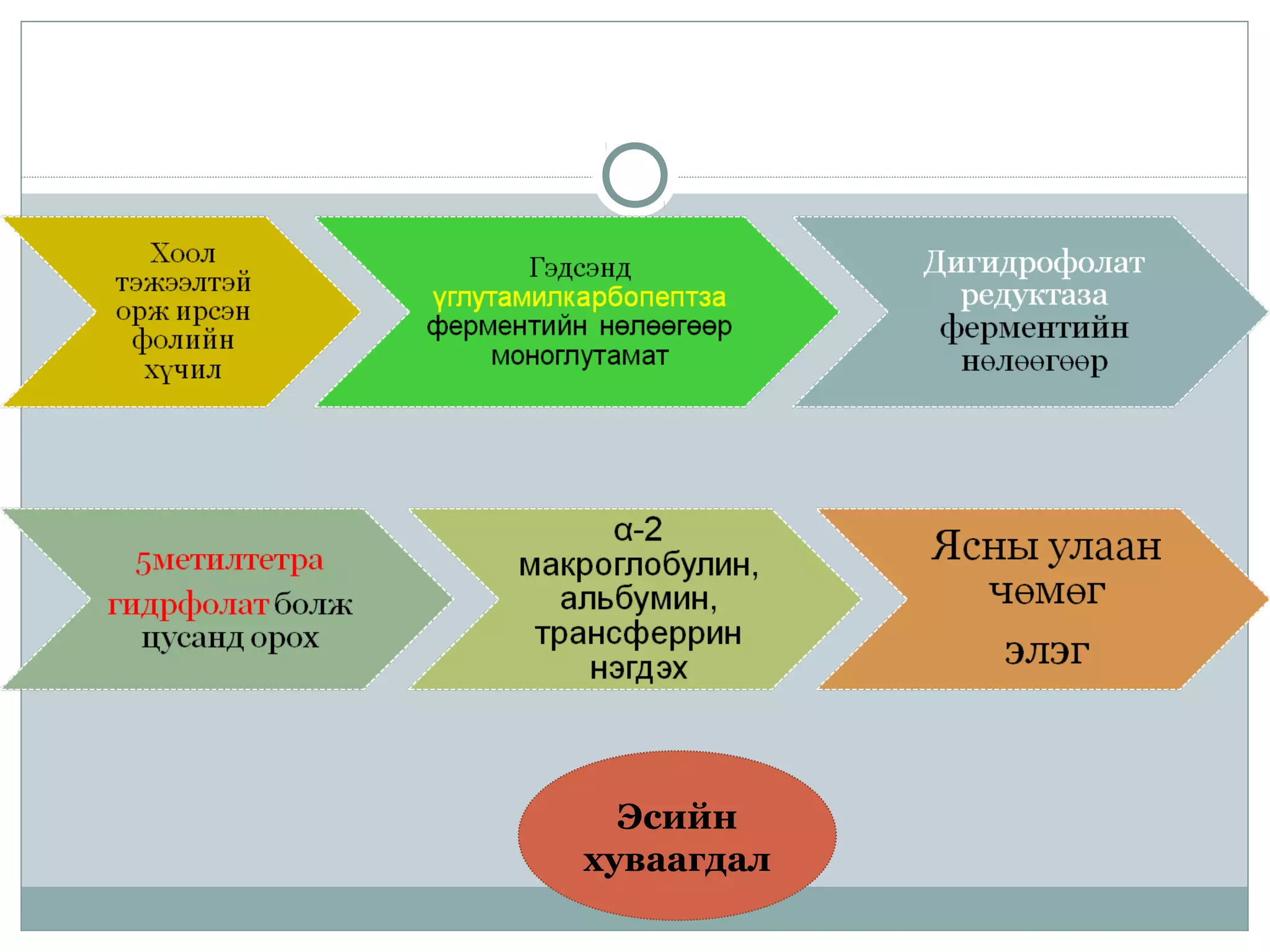 Эсийн
хуваагдал
 