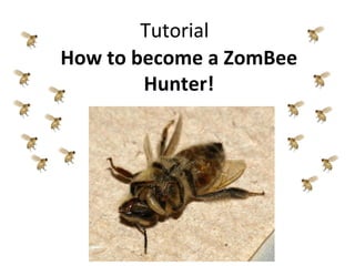Tutorial
How to become a ZomBee
        Hunter!
 