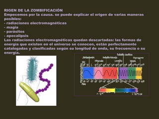 RIGEN DE LA ZOMBIFICACIÓN
Empecemos por la causa. se puede explicar el origen de varias maneras
posibles:
- radiaciones electromagnéticas
- magia
- parásitos
- apocalipsis
Las radiaciones electromagnéticas quedan descartadas: las formas de
energía que existen en el universo se conocen, están perfectamente
catalogadas y clasificadas según su longitud de onda, su frecuencia o su
energía.
 