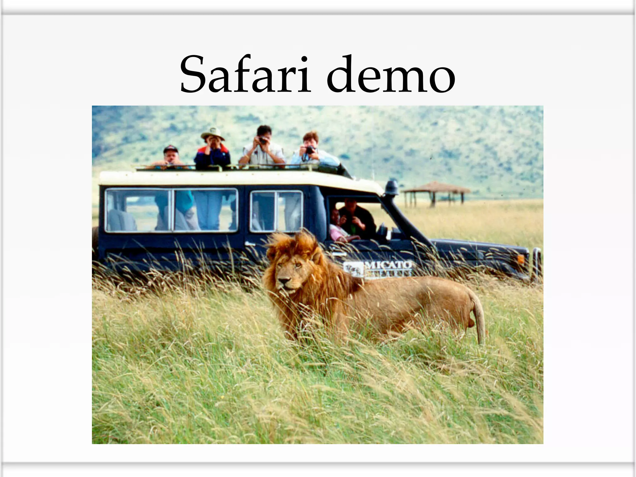 Safari demo
 
