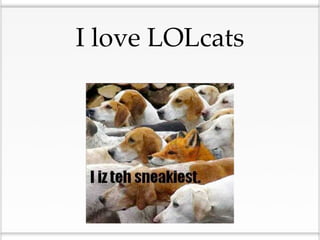 I love LOLcats
 