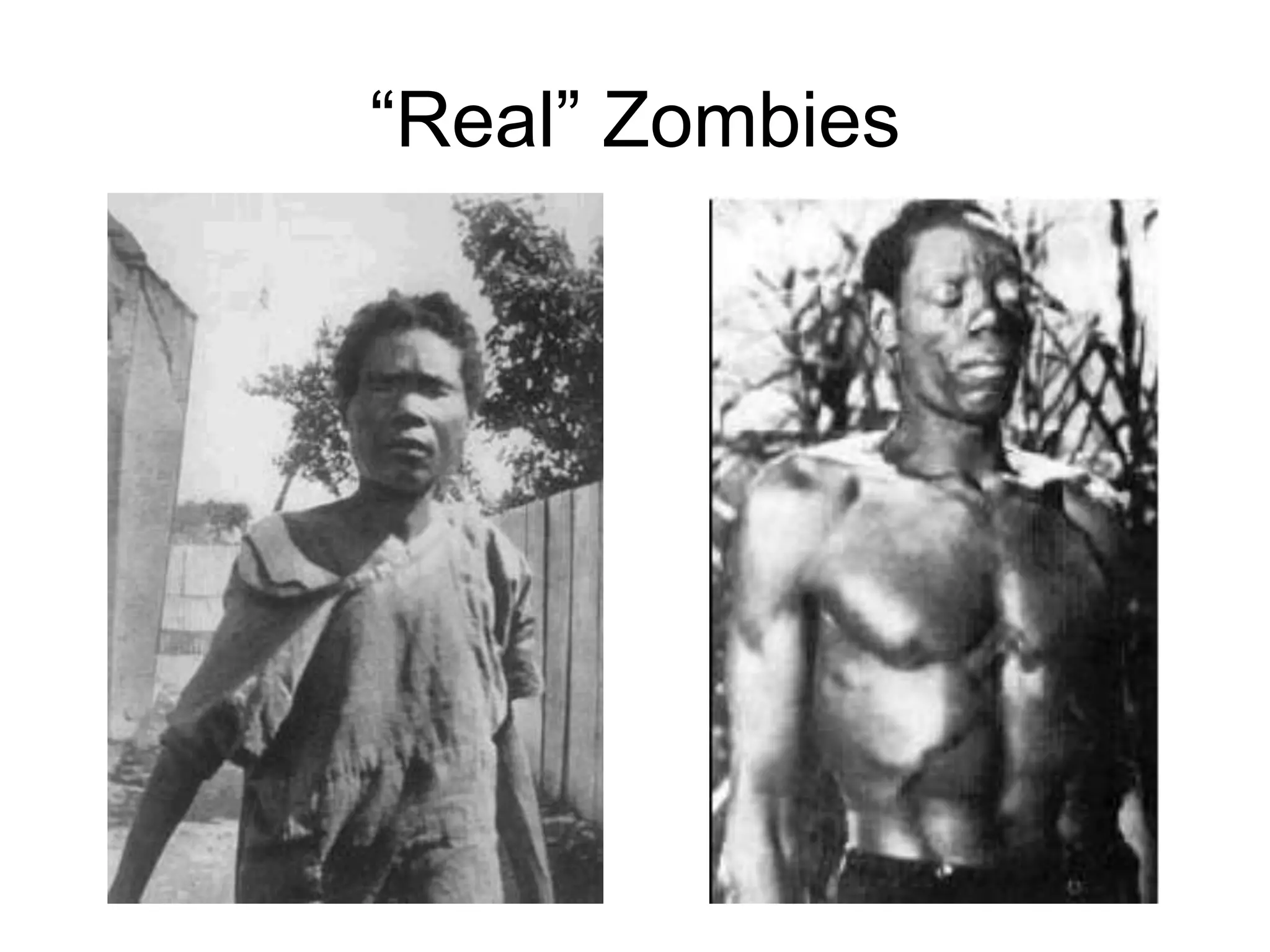 “Real” Zombies

 