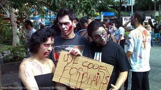 34
https://www.flickr.com/photos/s1mone/1833002341
 