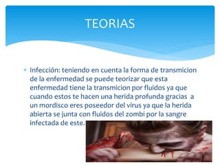  Infección: teniendo en cuenta la forma de transmicion
de la enfermedad se puede teorizar que esta
enfermedad tiene la transmicion por fluidos ya que
cuando estos te hacen una herida profunda gracias a
un mordisco eres poseedor del virus ya que la herida
abierta se junta con fluidos del zombi por la sangre
infectada de este.
TEORIAS
 