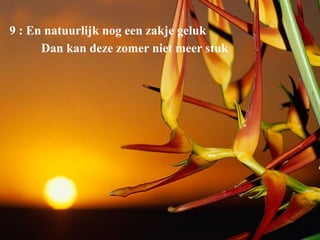 9 : En natuurlijk nog een zakje geluk Dan kan deze zomer niet meer stuk 