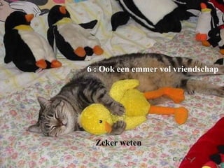 6 : Ook een emmer vol vriendschap Zeker weten 