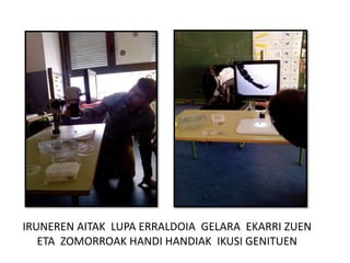 IRUNEREN AITAK LUPA ERRALDOIA GELARA EKARRI ZUEN
ETA ZOMORROAK HANDI HANDIAK IKUSI GENITUEN