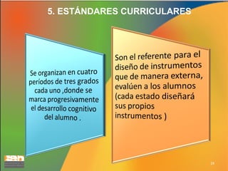 5. ESTÁNDARES CURRICULARES

24

 