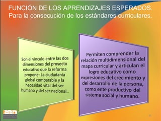 FUNCIÓN DE LOS APRENDIZAJES ESPERADOS.
Para la consecución de los estándares curriculares.

25

 