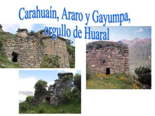 Carahuaín, Araro y Gayumpa, orgullo de Huaral 