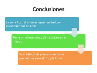 Conclusiones

La zona Austral es un extenso territorio en
el extremo sur de Chile


     Tiene un relieve, ríos y clima únicos en el
     mundo


          Es el hábitat de plantas y animales
          preparados para el frío y la lluvia
 