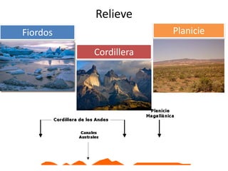 Relieve
Fiordos                Planicie

          Cordillera
 