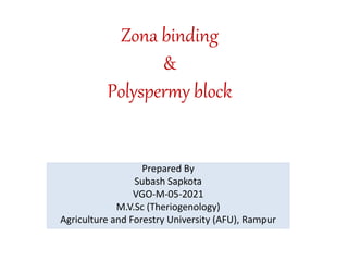 Zona binding
&
Polyspermy block
Prepared By
Subash Sapkota
VGO-M-05-2021
M.V.Sc (Theriogenology)
Agriculture and Forestry University (AFU), Rampur
 