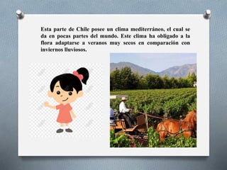 Esta parte de Chile posee un clima mediterráneo, el cual se
da en pocas partes del mundo. Este clima ha obligado a la
flora adaptarse a veranos muy secos en comparación con
inviernos lluviosos.
 
