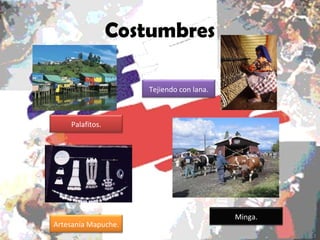 Costumbres Palafitos. Tejiendo con lana. Minga. Artesanía Mapuche.