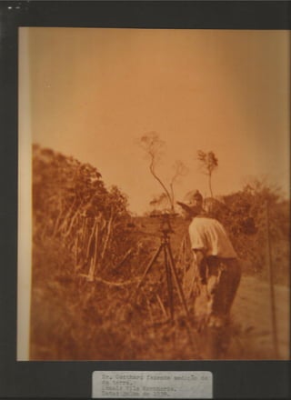 Acervo Firpo: Zona da mata