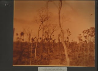 Acervo Firpo: Zona da mata