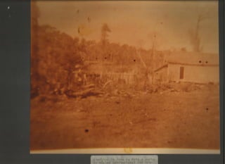 Acervo Firpo: Zona da mata