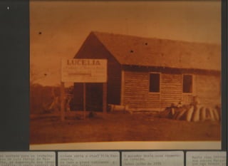 Acervo Firpo: Zona da mata