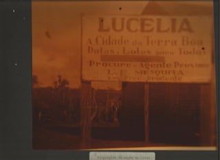 Acervo Firpo: Zona da mata