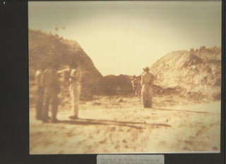 Acervo Firpo: Zona da mata