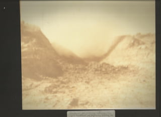 Acervo Firpo: Zona da mata