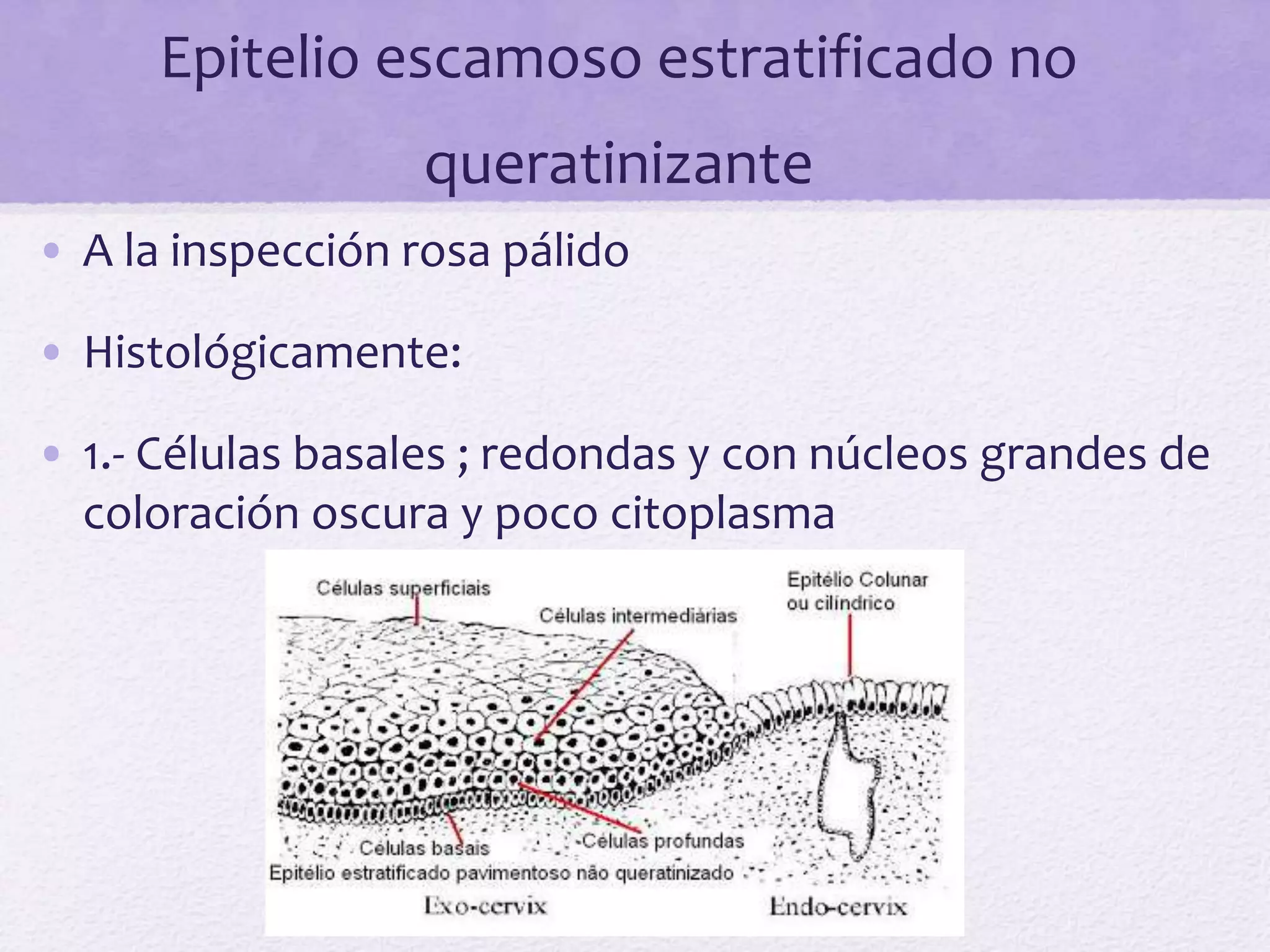 zona de transformacion .pptx