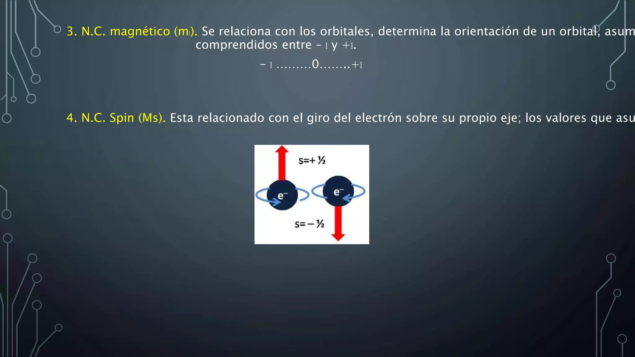 Extranuclear Zona extranuclear | PPSX
